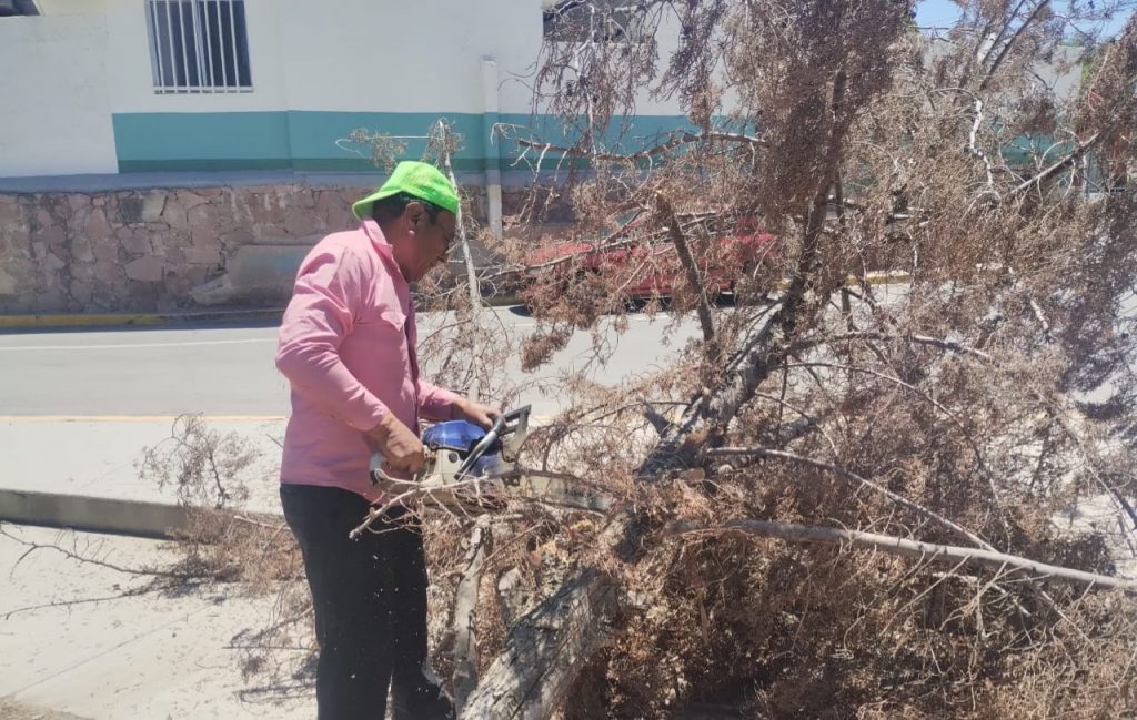 Teresa Rivera impulsa cultura de cuidado ambiental: Jornadas de limpieza en Villa de Pozos recuperan espacios para la convivencia familiar.